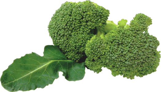 Broccoli