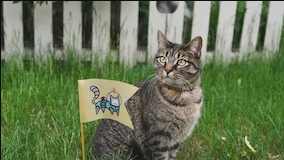 An intrigued cat sits in grass next to a flag planted in front of it with an astronaut space kitty sticker on beige fabric.