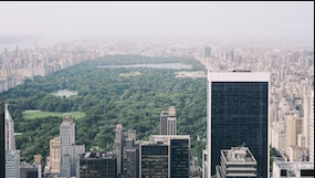 Looking down on central park and the surrounding builds from the Rockefellar Center