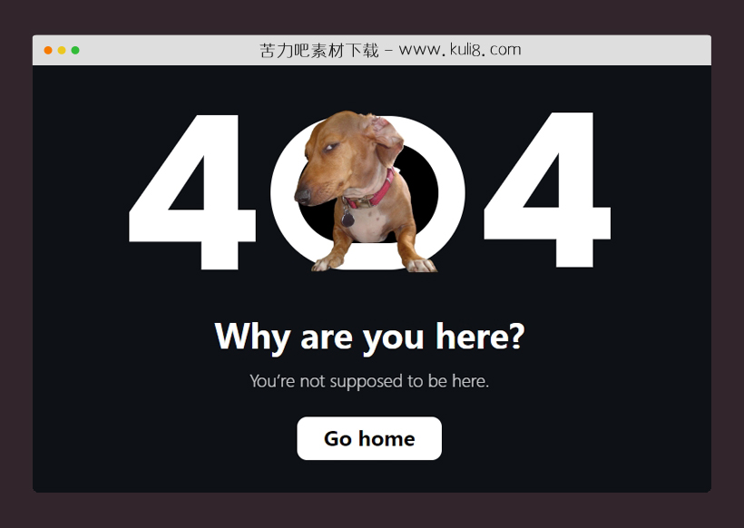 html5带狗头斜视404页面模板
